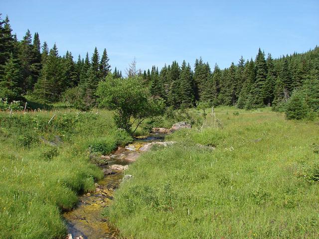 A good source of fresh water for the fishing rooms.