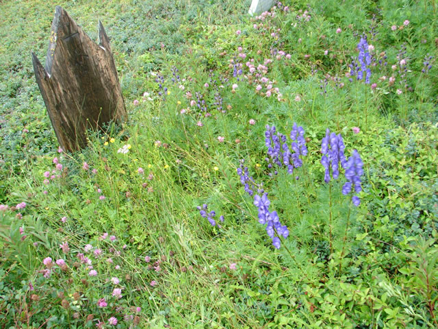 A gothic-style wooden grave marker in Gray Island Cemetery, with domestic flowers.