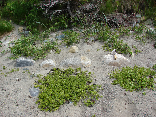 An alignment of four large rocks in the sand beach, parallel to the shore.