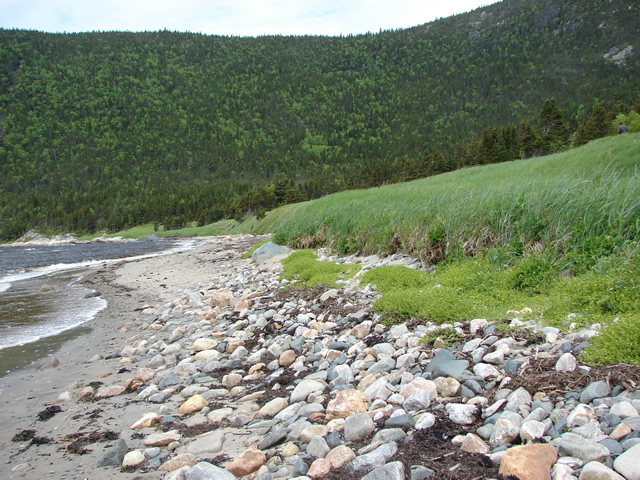 Cobble beach at Sans Fond with the grassy terrace.