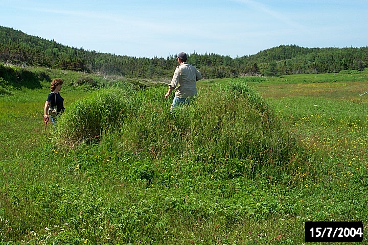 A 20th-century root cellar.