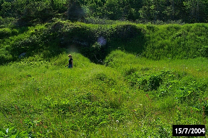 A drainage ditch to keep the stoney galet drier.