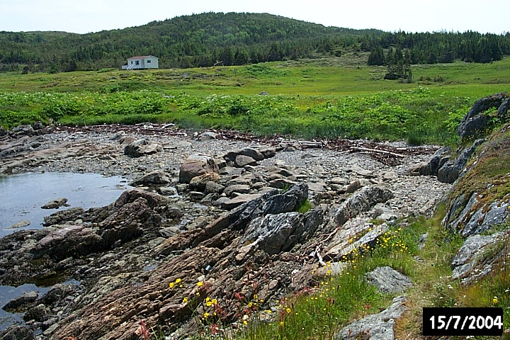 Fishermen cleared back forests not only for the wood needed for stages and flakes, but also to expose open areas needed to dry the fish.