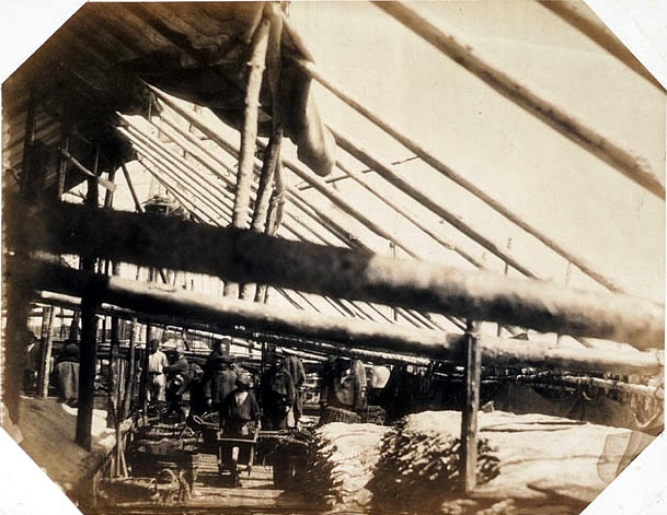 Interior view of fish storage in the stage Petit Nord, 1857. Paul-Émile Miot Collection,Libraries and Archives Canada, PA-194630.